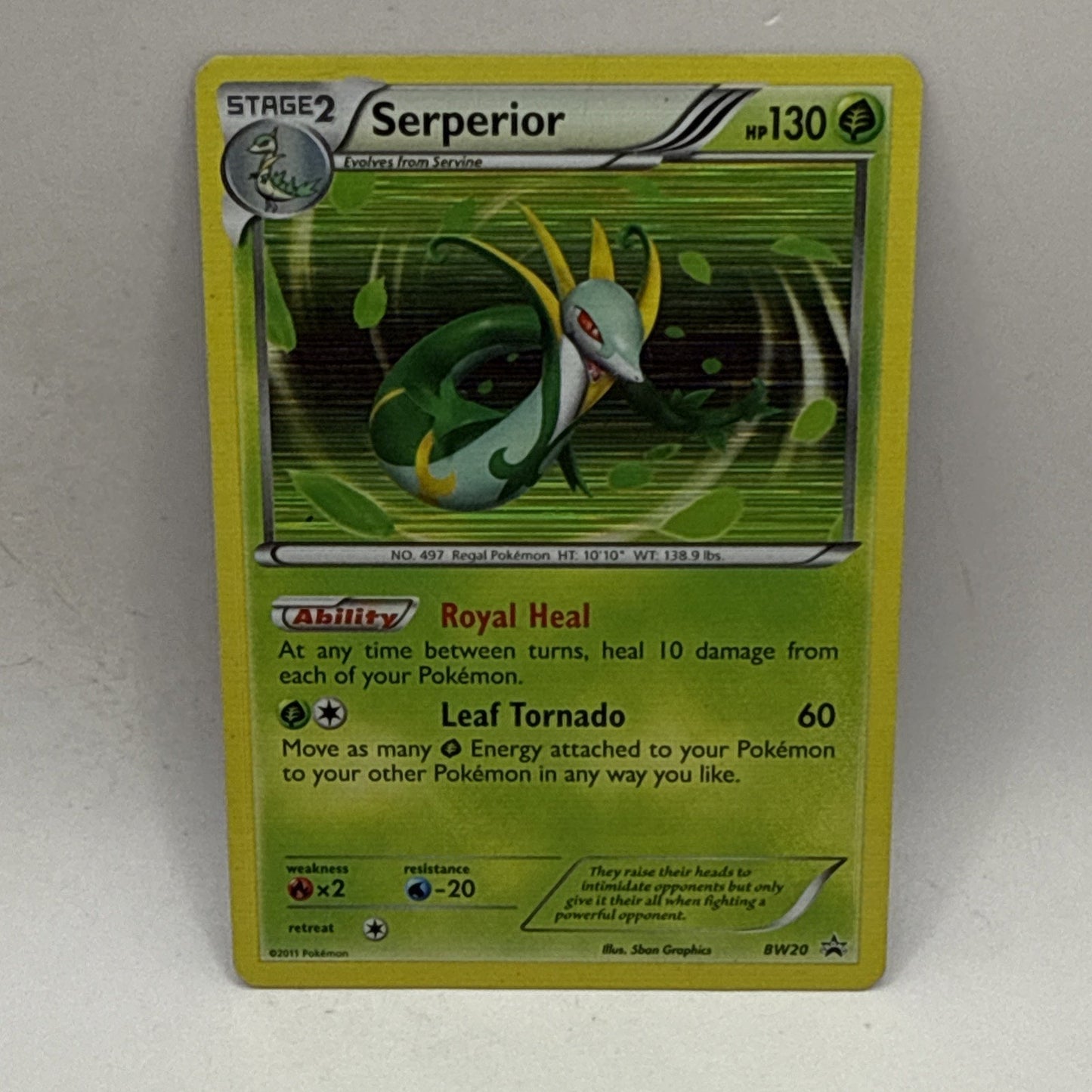 Pokémon TCG Serperior Black Star Promos BW20 Holo Card HP Collectible Card