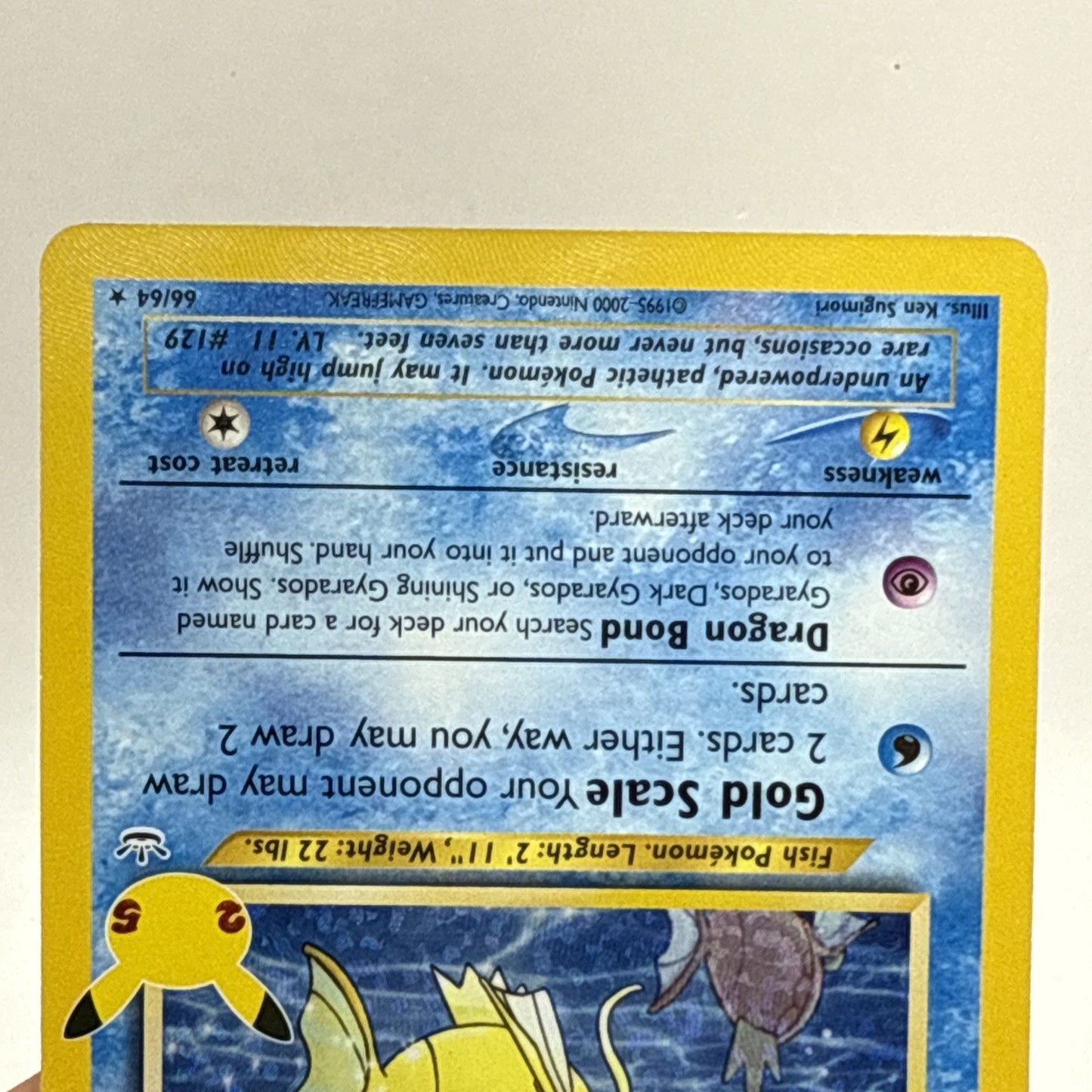Shining Magikarp 66/64 Celebrations: Classic Collection Holo HP Card