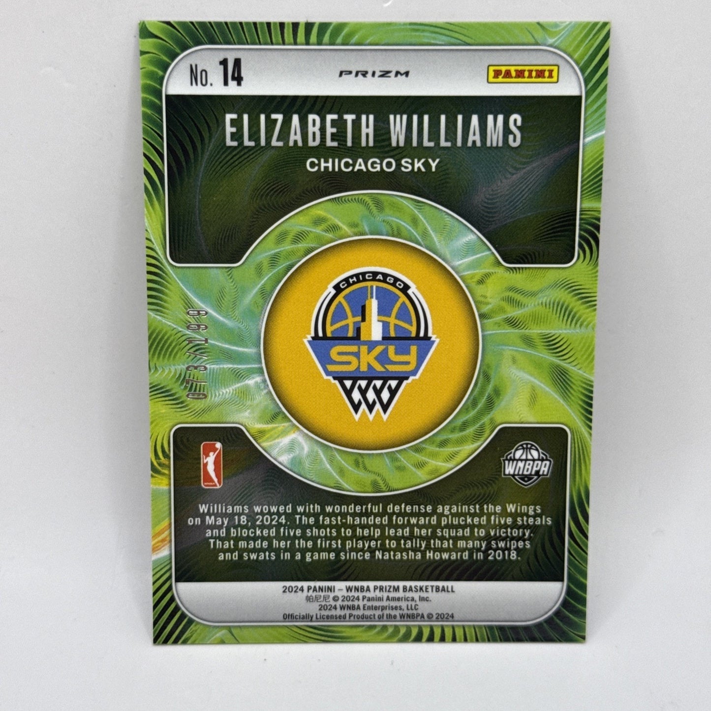 2024 WNBA Prizm Elizabeth WIlliams Fractal /199 Sky Basketball Pulsar Foil Card