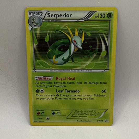 Pokémon TCG Serperior Black Star Promos BW20 Holo Card HP Collectible Card