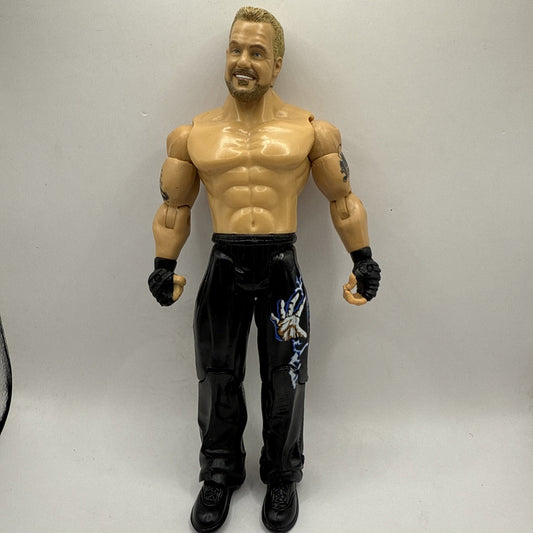 WWF WWE DDP JAKKS WRESTLING TOY ACTION FIGURE CLASSIC SUPERSTARS SERIES 14 VGC