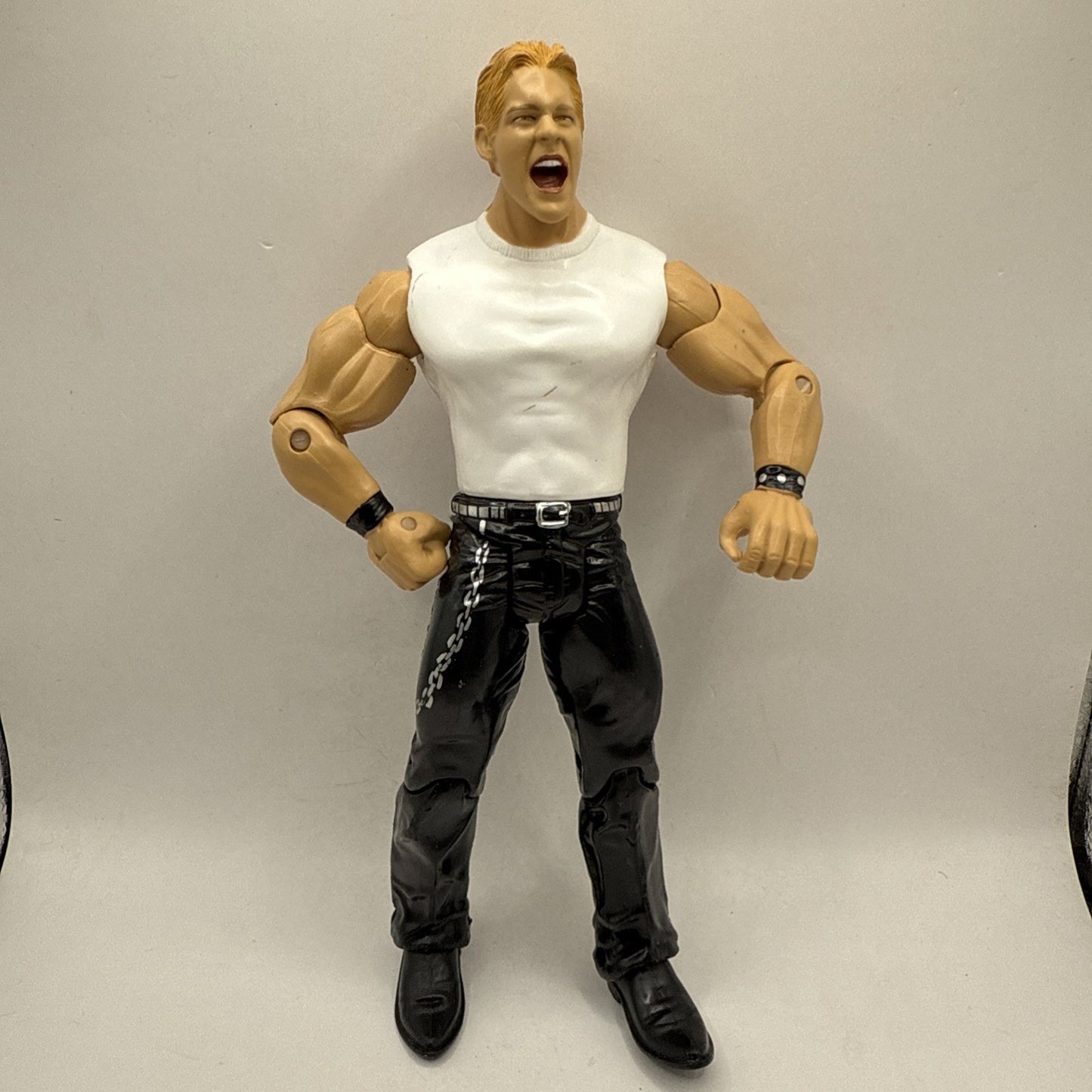 WWE WWF Chris Jericho Jakks Pacific 2001 Wrestling Action Figure