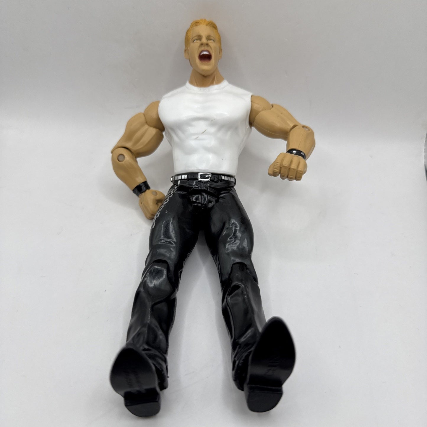 WWE WWF Chris Jericho Jakks Pacific 2001 Wrestling Action Figure